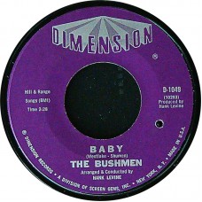 BUSHMEN Baby / What I Have I'll Give To You (Dimension – D-1049) USA 1965 1st pressing 45 (Garage Rock)